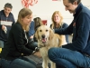 1. Hilfe Kurs für Hundehalter
